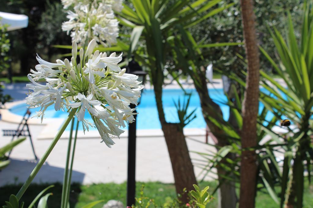 Villa Orchidea Luxury B&B Ispica Bagian luar foto